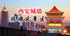 美国大黑鸡巴睡女人中国陕西-西安城墙旅游风景区